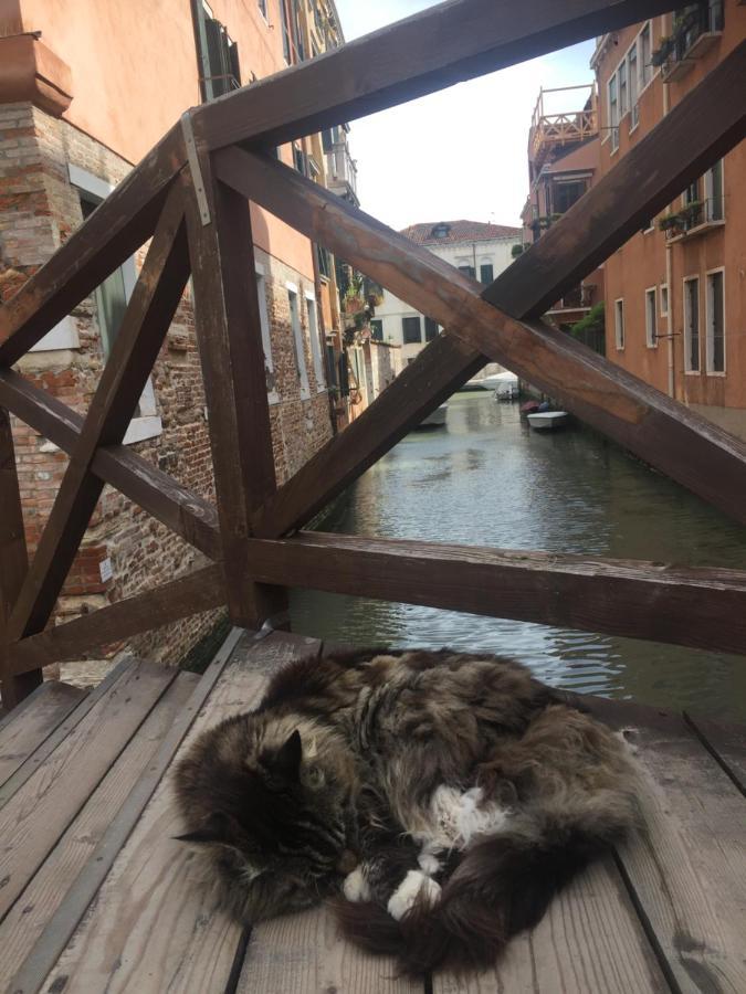 Tintoretto 4, 3 Grandi Camere Da Letto, 2 Bagni Venezia Esterno foto
